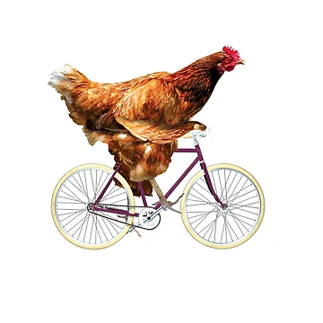 Artwork thumbnail, Quirky Chicken Riding Bicycle by RamiBeans