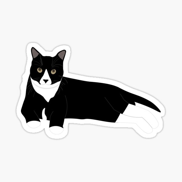 Cute Punk Black And White Cat | peacecommission.kdsg.gov.ng