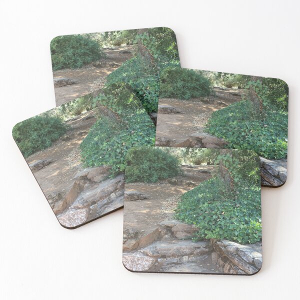 Item preview, Steps past the ivy designed and sold by Rita Kindle.