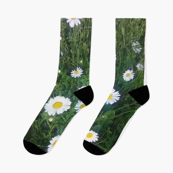 Item preview, Shasta Daisies designed and sold by BellsPainting.