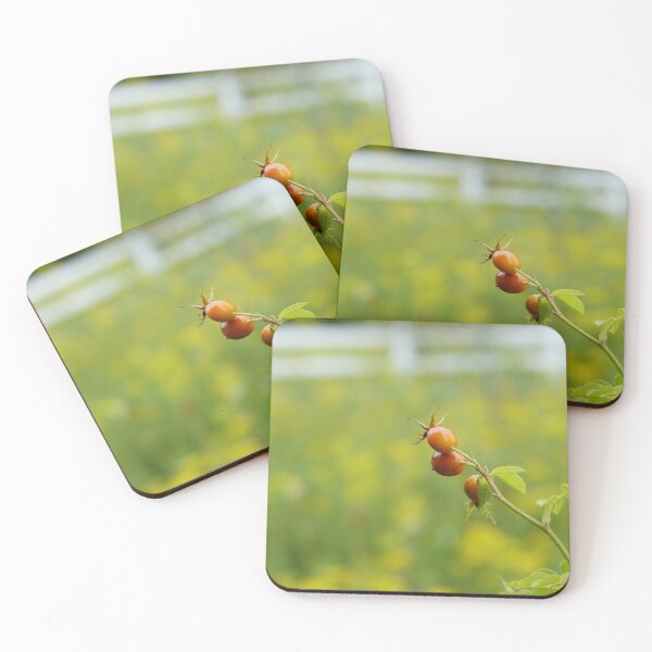 Item preview, wild rosehips designed and sold by distracted.