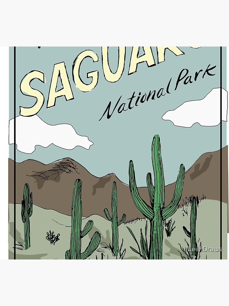 Discover Saguaro National Park Socks