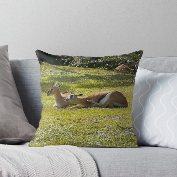 Item preview, Grant's Gazelles designed and sold by tessanicole.