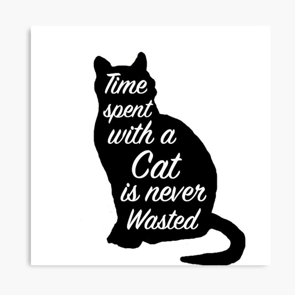 Download Schwarze katze zitate For Free