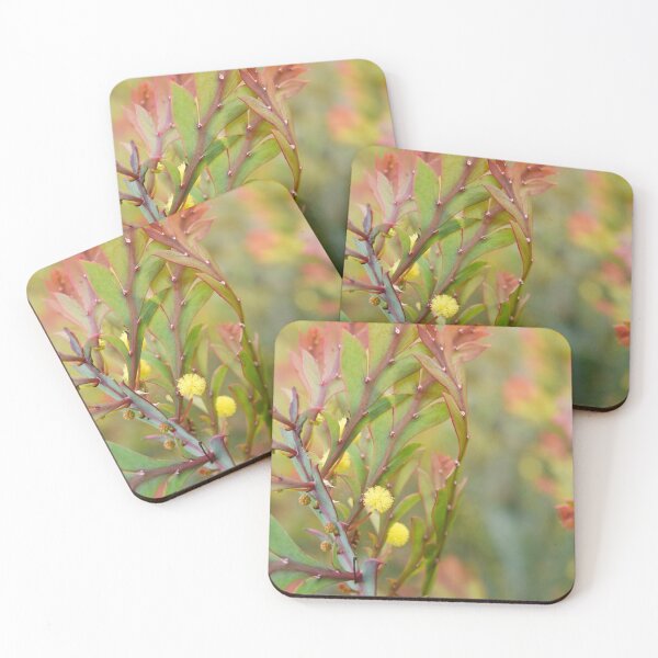 Item preview, Flowering Clay Wattle designed and sold by imaginethis.