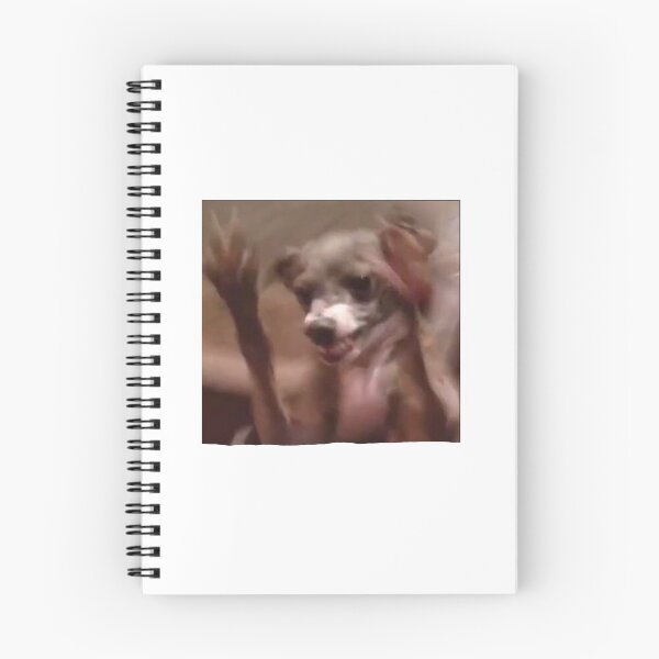 Item preview, kermit freaking out  designed and sold by emilyaronn.