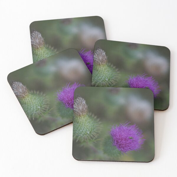 Item preview, a thorny affair designed and sold by distracted.