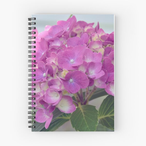 Item preview, Pink Hydrangea designed and sold by Maureen Zaharie.