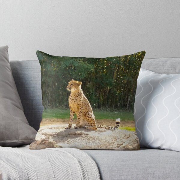 Item preview, Cheeta designed and sold by tessanicole.