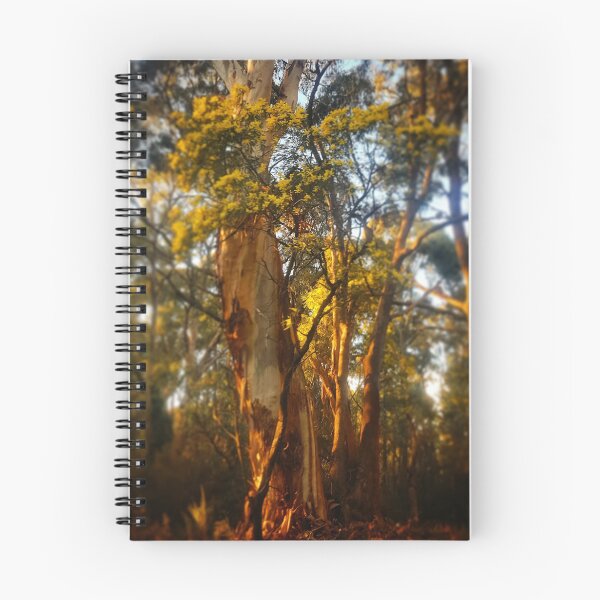 Item preview, Wattle Gumtree designed and sold by GlenJohnson.