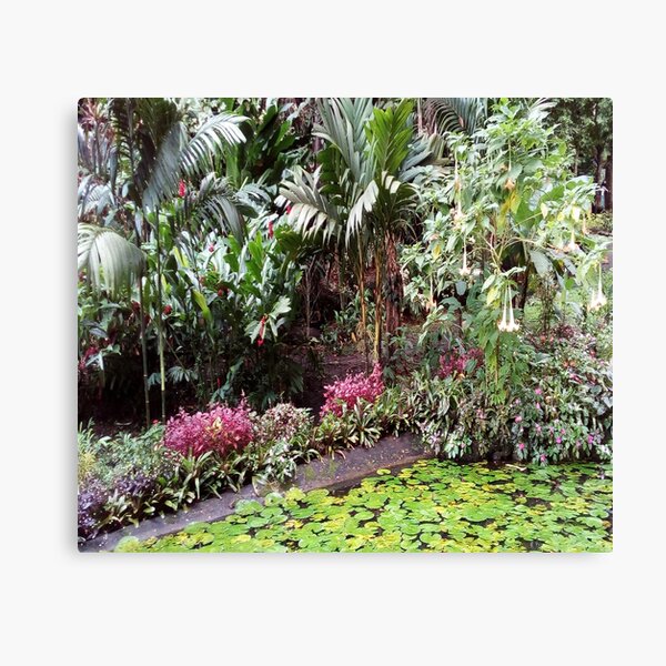 FIJI Islands Paradise Garden Canvas Print