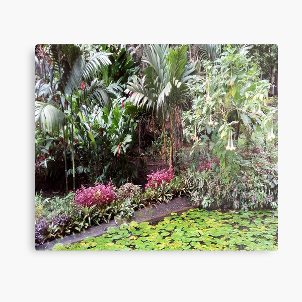 FIJI Islands Paradise Garden Metal Print
