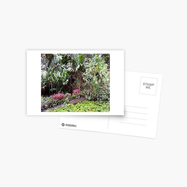 FIJI Islands Paradise Garden Postcard