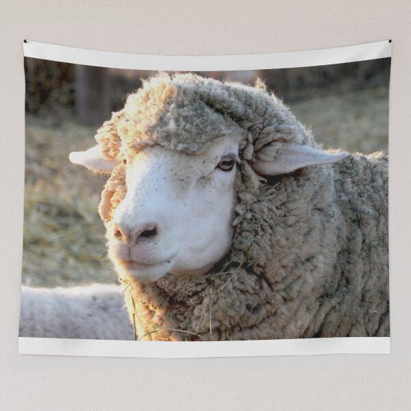 Item preview, fluffy sheep, wool sheep designed and sold by Stephanie  Skeem.