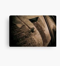 Reflection Canvas Print