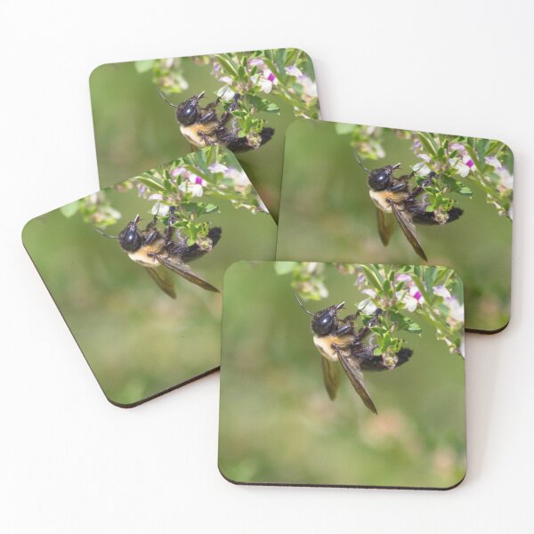 Item preview, Bee Hanging Around  designed and sold by Ollivrosa.