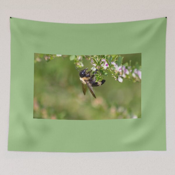 Item preview, Bee Hanging Around  designed and sold by Ollivrosa.