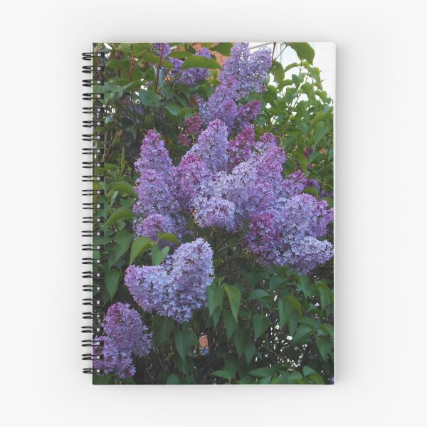 Item preview, Purple Lilac Blossoms designed and sold by SunriseRose.