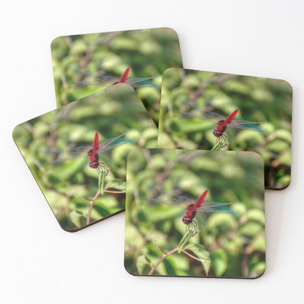 Item preview, Red Dragonfly designed and sold by tpixx.
