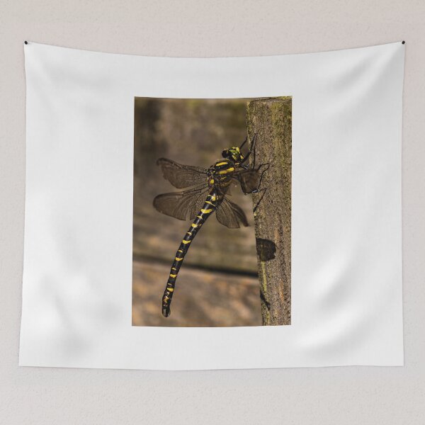 Item preview, Golden Ringed Dragonfly designed and sold by widdy170.