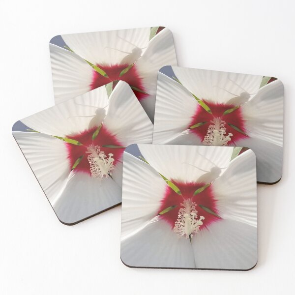 Item preview, Ciérrese encima de la foto de un hibisco en blanco y rojo con la sombra de un saltamontes. designed and sold by With My Hands By K.