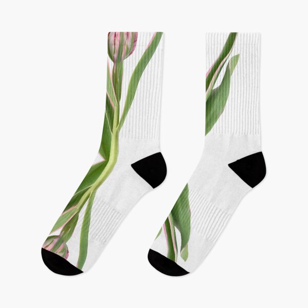 Item preview, Tulipa  'Eternal Flame'   Double Early Tulip  designed and sold by Chris Burrows.