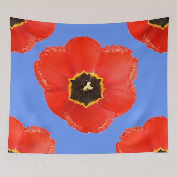 Item preview, Tulipa  'Crystal Beauty'   Fringed Tulip designed and sold by Chris Burrows.