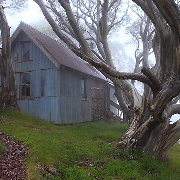Artwork thumbnail, Cope hut Mt Bogong. by Donovan Wilson