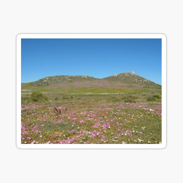 West Coast Wildflowers Sticker
