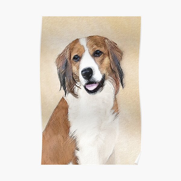 "Nederlandse Kooikerhondje Painting Dog Art" Poster for Sale by
