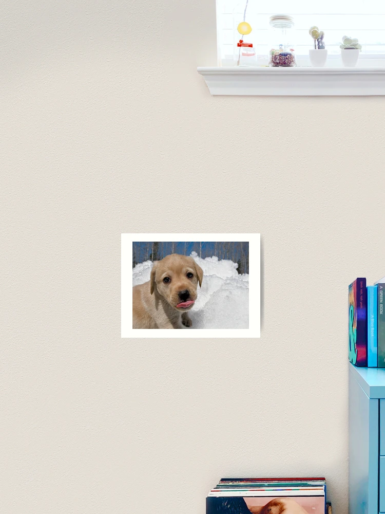 Thumbnail 2 von 3, Kunstdruck, Full On Raspberry designt und verkauft von Bill Maynard.