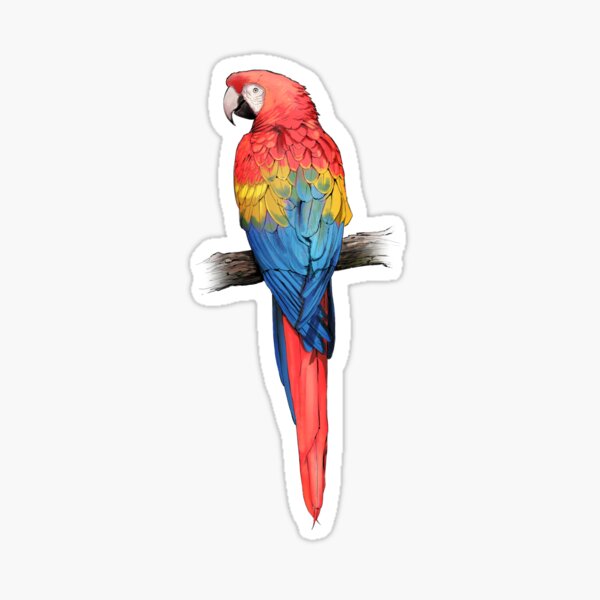 Item preview, Scarlet Macaw designed and sold by Robbie McSweeney.