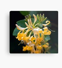 Stamens Metal Print