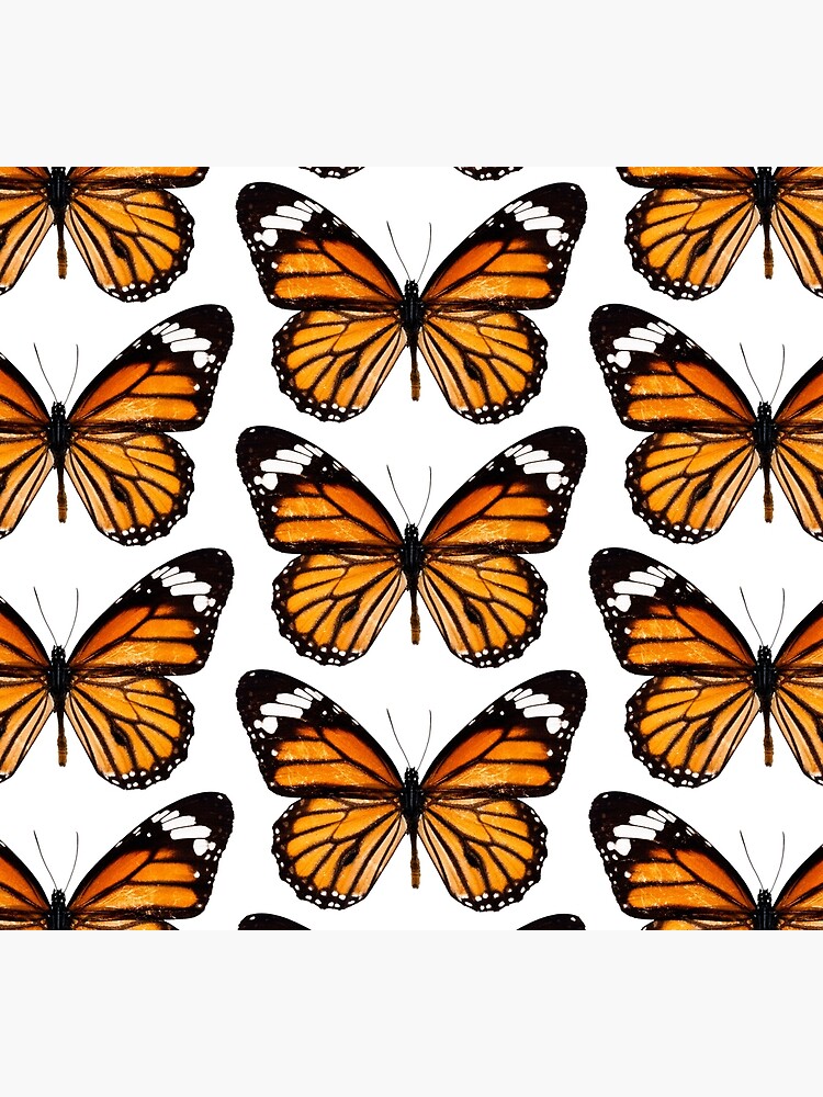 Monarch butterfly sticker by SouthPrints