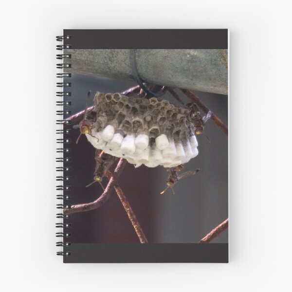 Item preview, Intimate Encounter designed and sold by Kerryn Madsen-Pietsch.