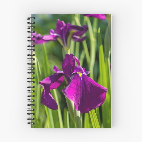 Item preview, Flamboyant Royal Purple Japanese Irises in Bloom - A Garden for Van Gogh designed and sold by Georgia Mizuleva.