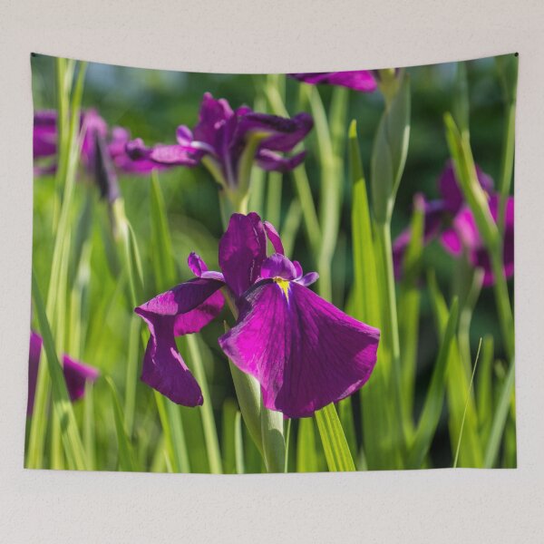 Item preview, Flamboyant Royal Purple Japanese Irises in Bloom - A Garden for Van Gogh designed and sold by Georgia Mizuleva.