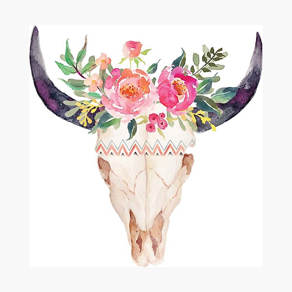 Download Painted Bull Skull Photographic Prints Redbubble