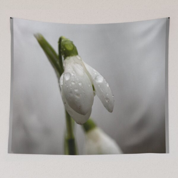 Item preview, Snowdrops with raindrops designed and sold by cuprum.