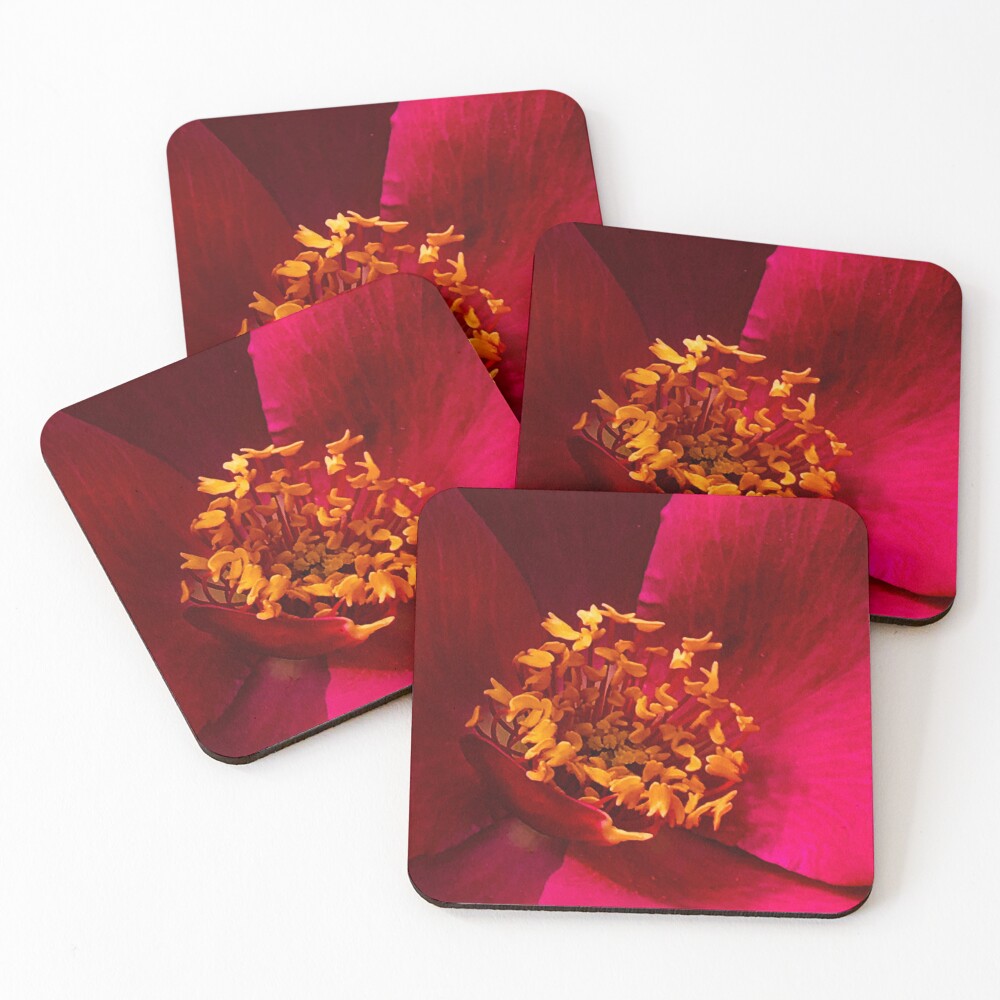 Item preview, Coasters (Set of 4) designed and sold by Rasendyll.