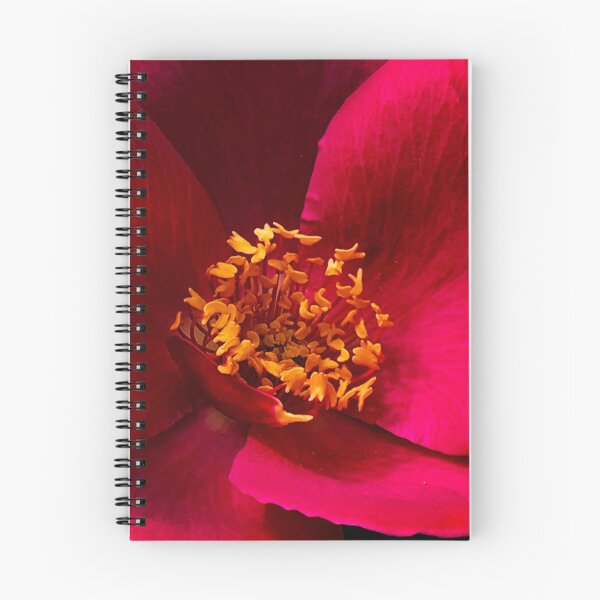 Item preview, The First Rose of Spring designed and sold by Rasendyll.