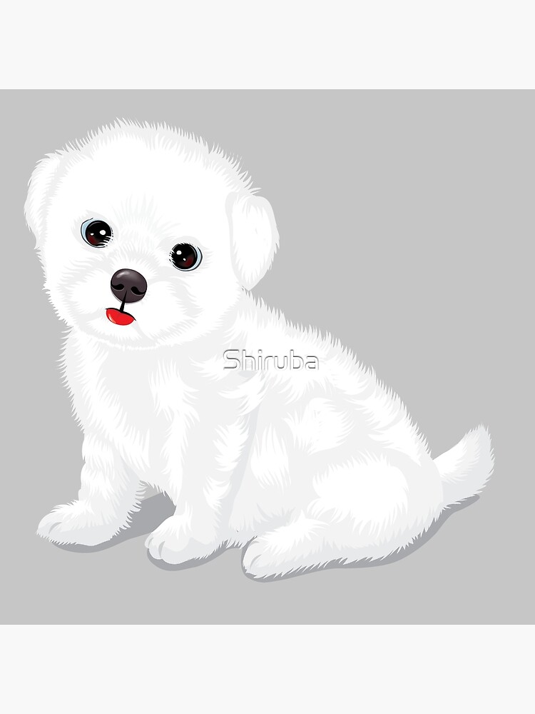 puppy fluffy white