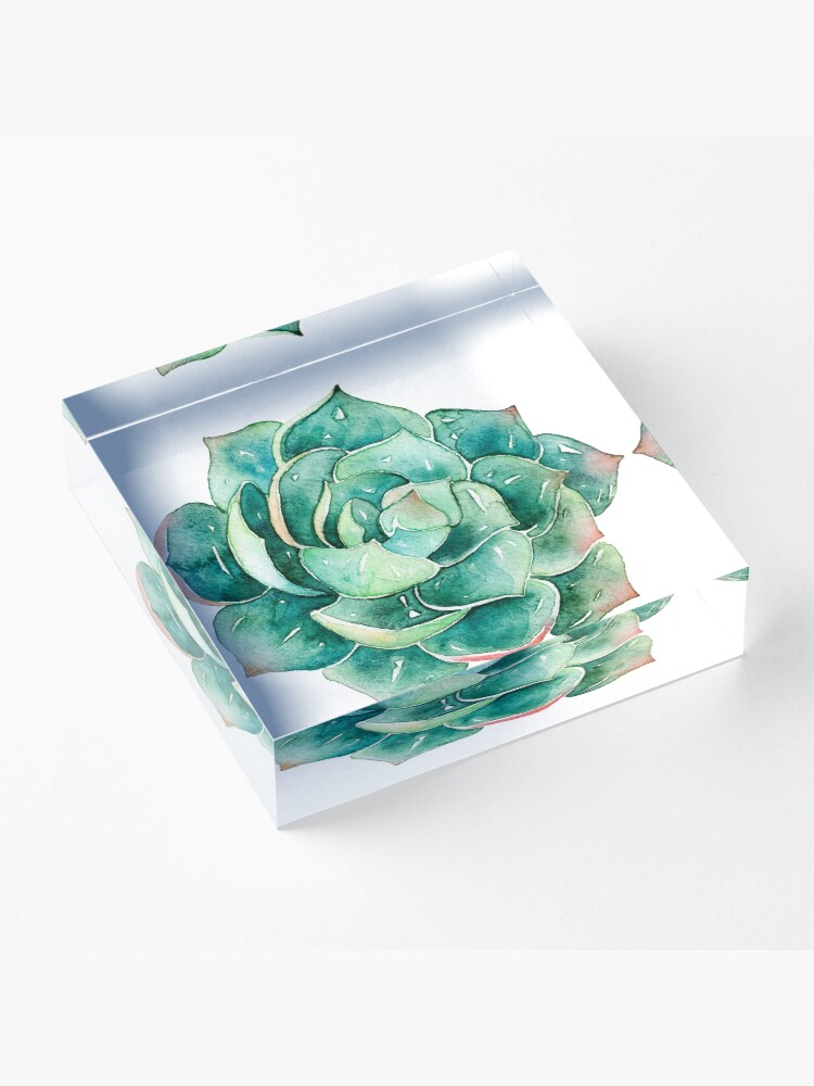 Alternate view of Watercolor Succulent sticker Acrylic Block