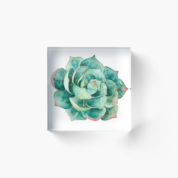 Watercolor Succulent sticker Acrylic Block