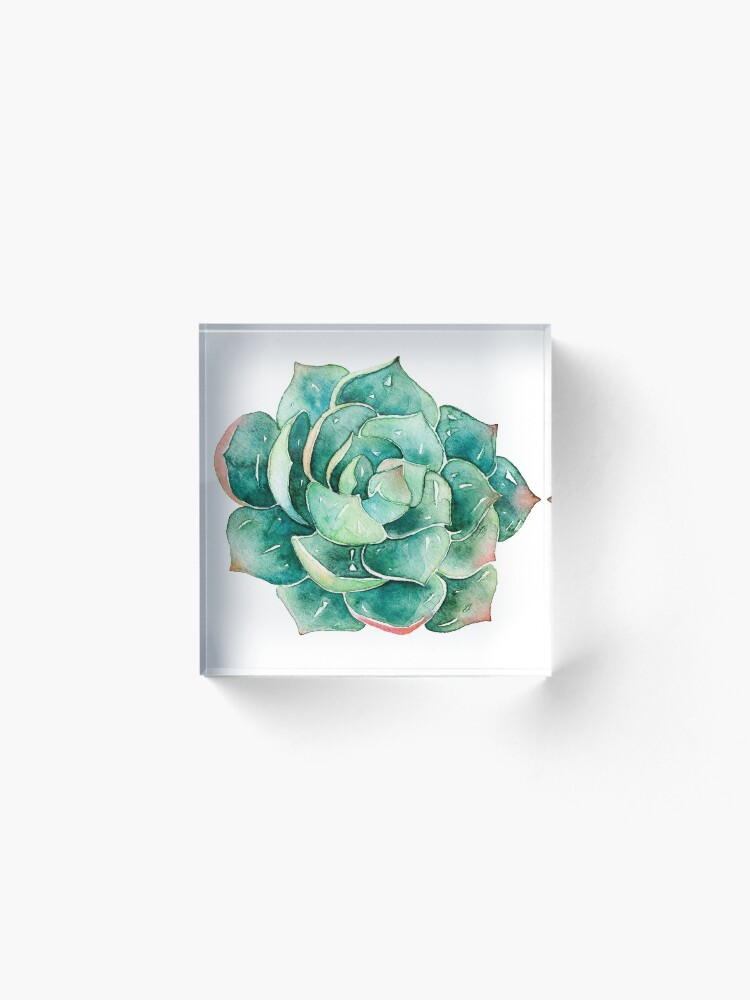 Alternate view of Watercolor Succulent sticker Acrylic Block
