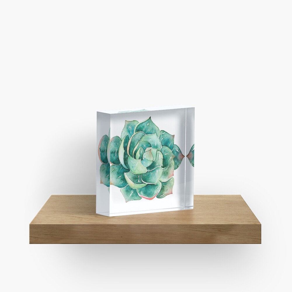 Watercolor Succulent sticker Acrylic Block