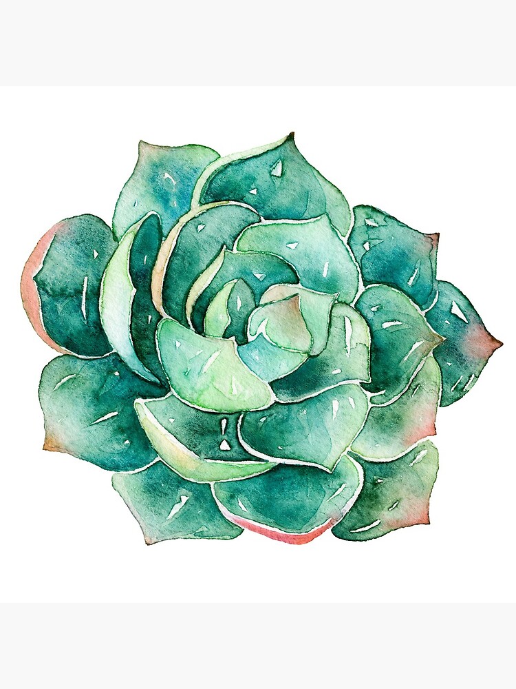 Watercolor Succulent sticker by SouthPrints