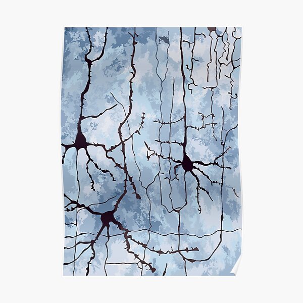Cortical Neurons on Blue Poster