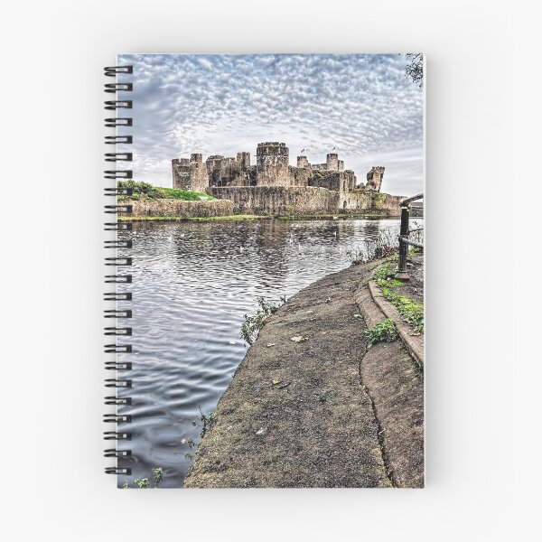 Item preview, Caerphilly Castle Portrait designed and sold by Steve Purnell Photography.