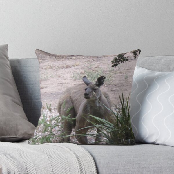 Item preview, Big Fred and his Tatty Ear. 'Arilka' Mount Pleasant. South Australia. designed and sold by RitaBlom.